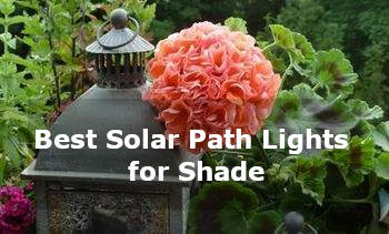 best solar path lights for shade